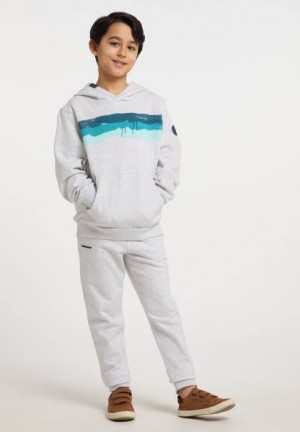 Sudaderas Ragwear Haky Sweat Organic Niño Rosas | R-2849576