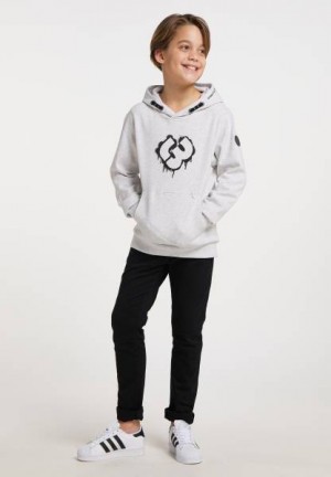 Sudaderas Ragwear Lukyn Organic Niño Gris | R-3814297