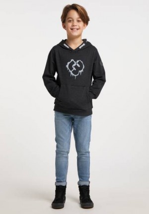Sudaderas Ragwear Lukyn Organic Niño Marrones | R-2609734